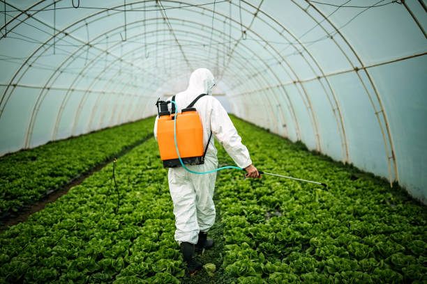 Best Best Pest Control Companies  in Moose Wilson Road, WY