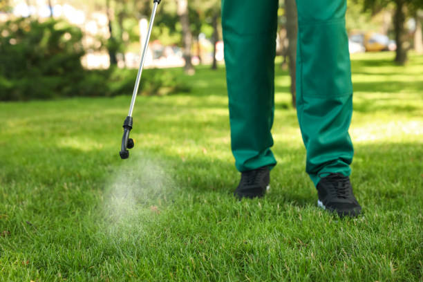 Best Wasp Removal Services  in Moose Wilson Road, WY