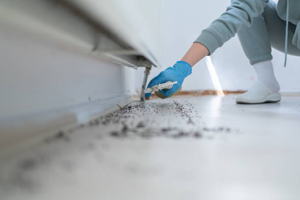 Best Bed Bug Extermination  in Moose Wilson Road, WY